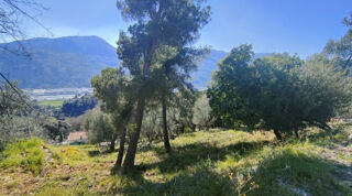  Terrain 1024 m Saint-martin-du-var