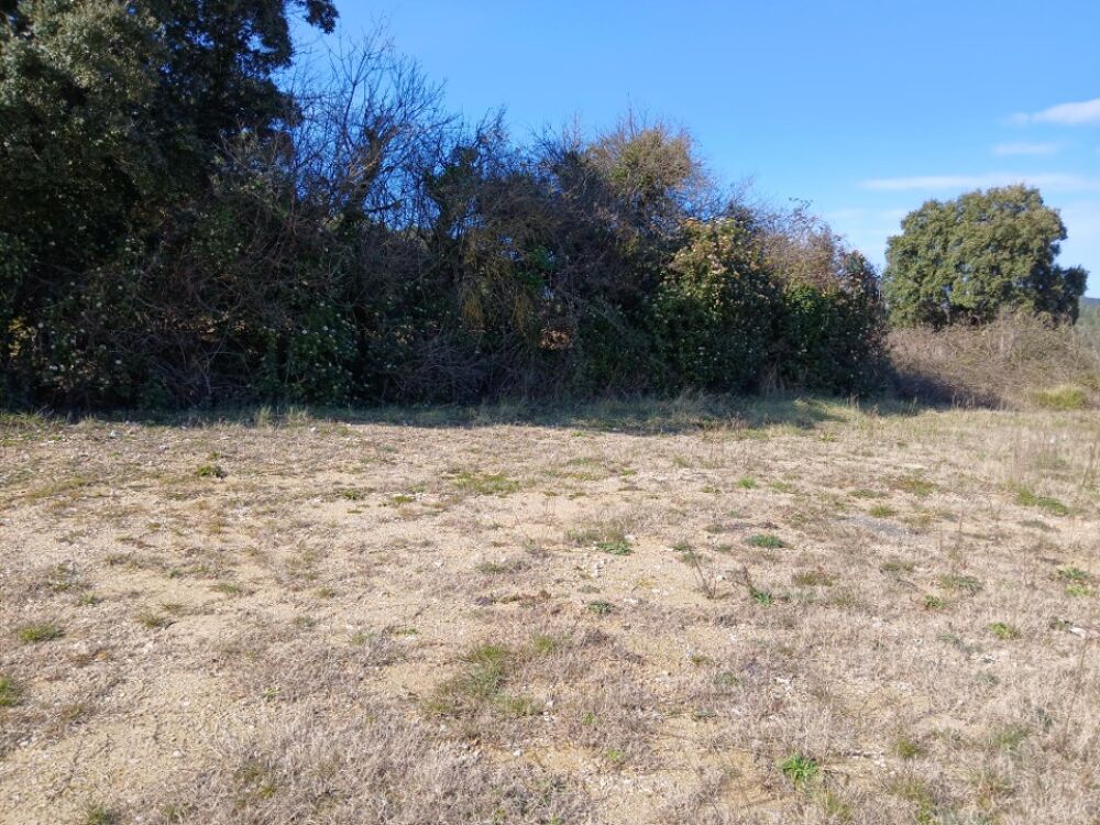 vente Terrain - 617 m Sainte-Croix-de-Quintillargues (34270)