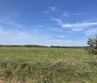  Terrain 1650 m� Saint-hilaire-de-la-noaille