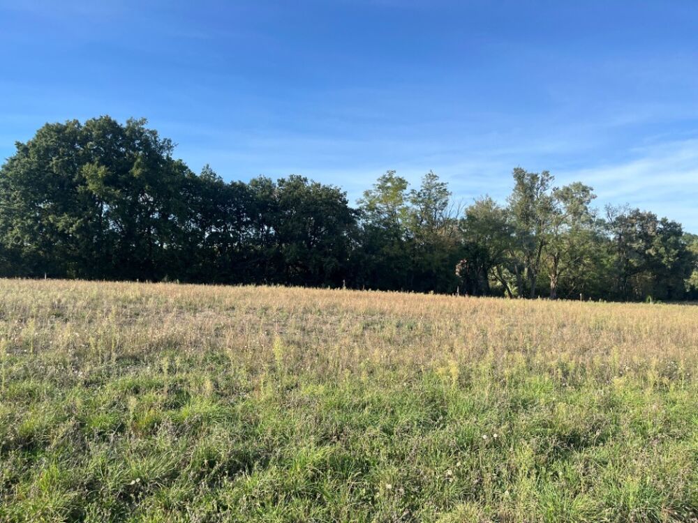 vente Terrain - 583 m² Marssac-sur-Tarn (81150)