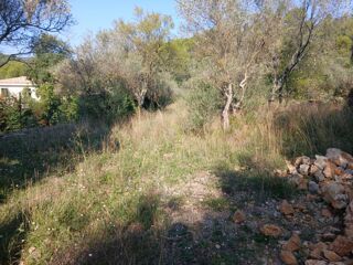  Terrain � vendre 1130 m�