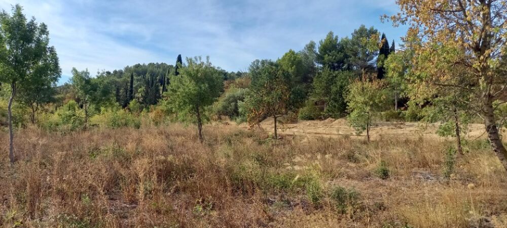 vente Maison - 6 pièce(s) - 134 m² Azille (11700)