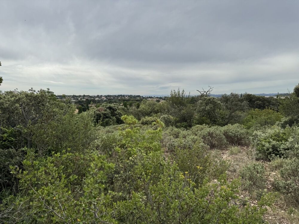 vente Terrain - 384 m² Villeneuve-lès-Avignon (30400)