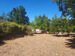  Terrain à vendre 1005 m²
