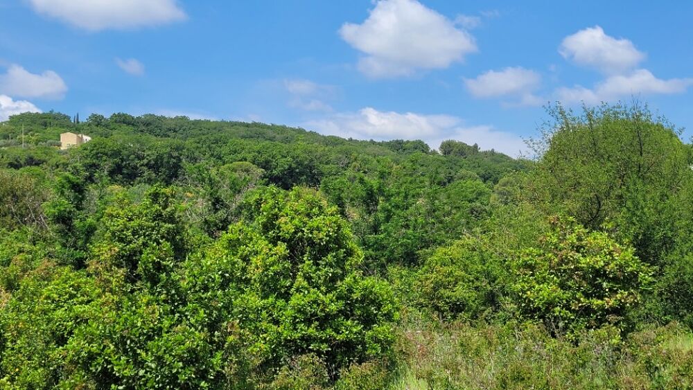 vente Terrain - 937 m² Bourg-Saint-Andéol (07700)
