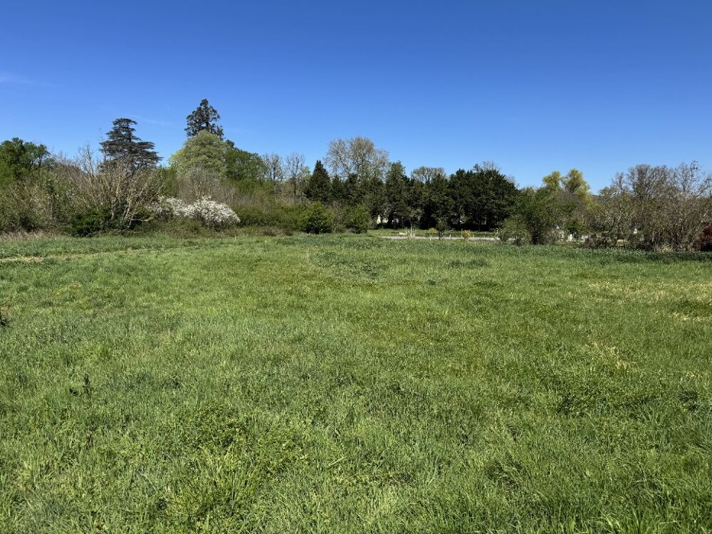 vente Terrain - 1716 m� Valdurenque (81090)