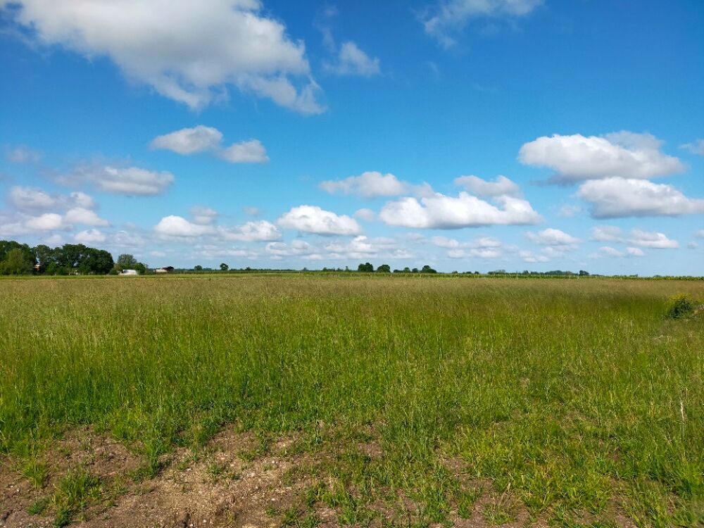 vente Terrain - 1350 m² Saint-Brice (16100)