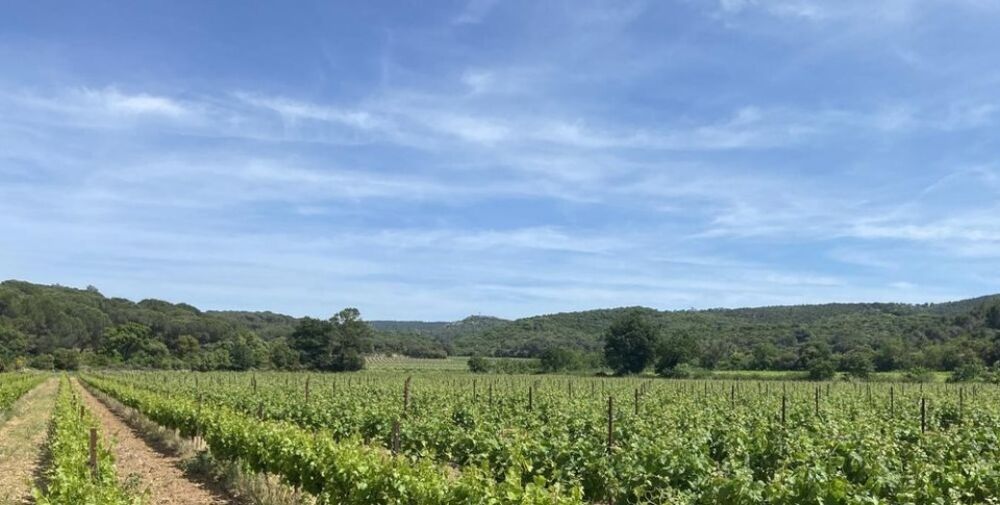 vente Terrain - 1400 m² Lézignan-Corbières (11200)