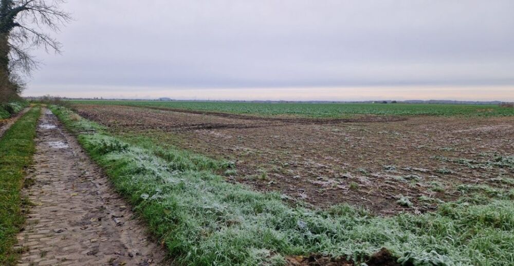 vente Terrain - 552 m² Roucourt (59169)