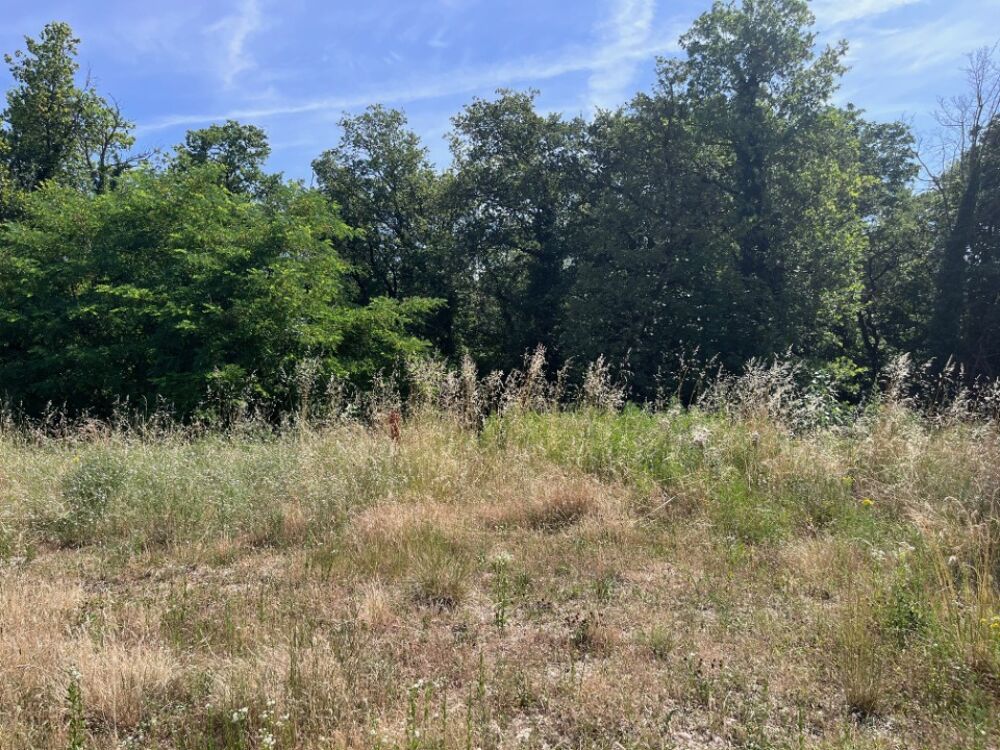 vente Terrain - 565 m² Sainte-Cécile-les-Vignes (84290)