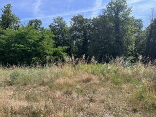  Terrain à vendre 565 m²
