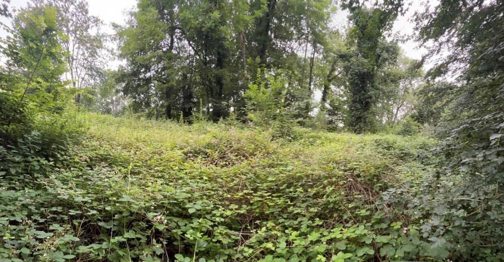 vente Terrain - 903 m² Cravent (78270)