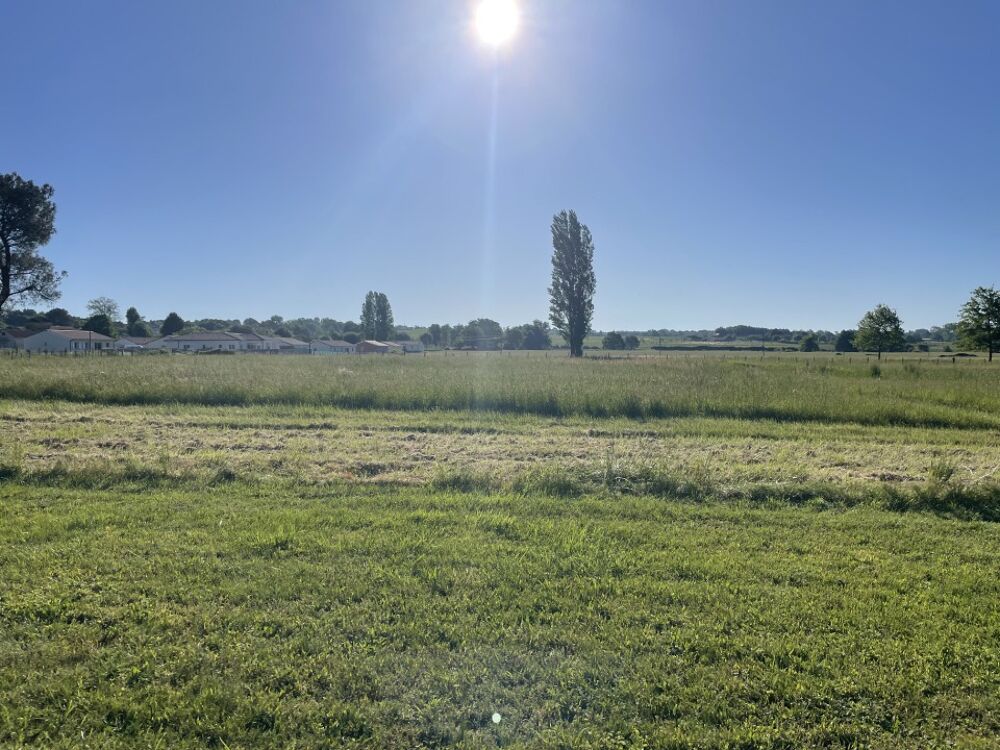 vente Terrain - 600 m² Blaye (33390)