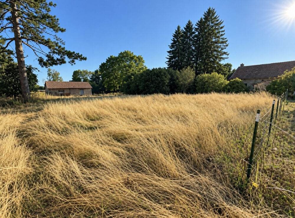 vente Terrain - 1200 m² Rochonvillers (57840)