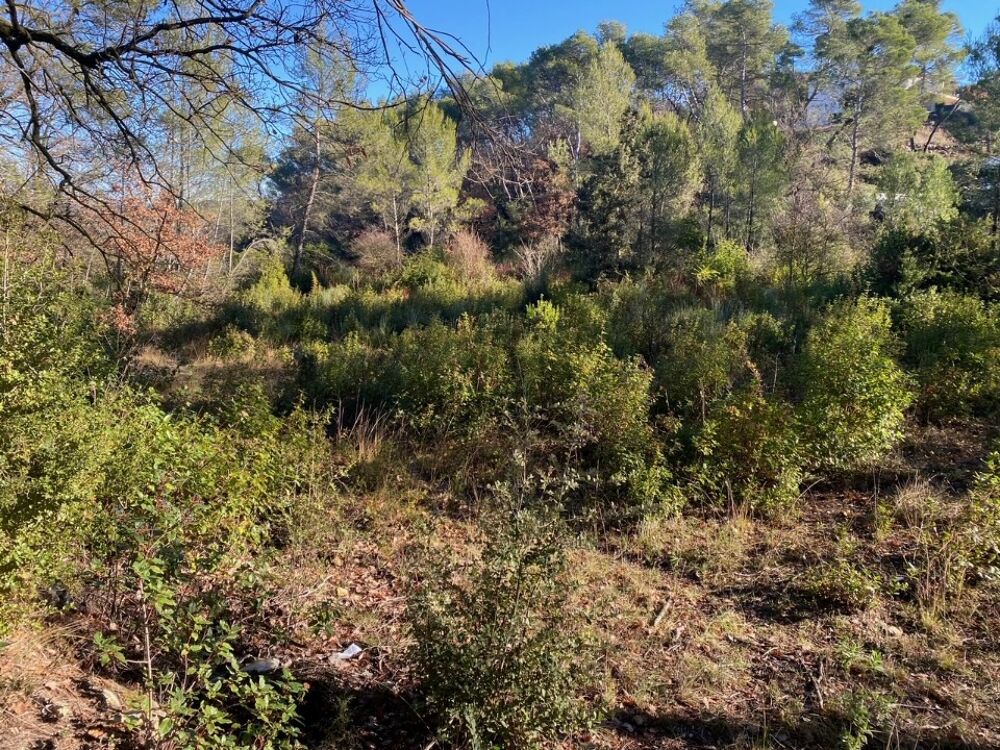 vente Terrain - 399 m² Brignoles (83170)