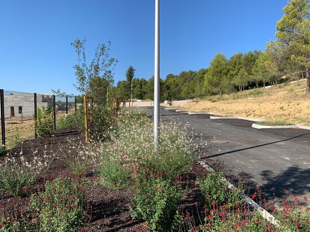 vente Terrain - 520 m² Saint-Gély-du-Fesc (34980)