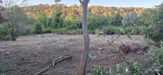  Terrain � vendre 540 m�