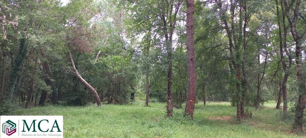 vente Terrain - 1484 m² Ménesplet (24700)