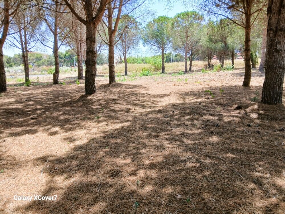 MAISON À CONSTRUIRE DE 100 M² À PERPIGNAN, 4 PIÈCES ....