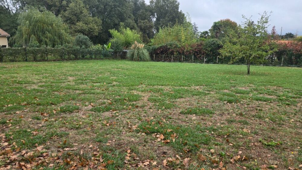 vente Terrain - 1100 m² Saint-Savin (33920)