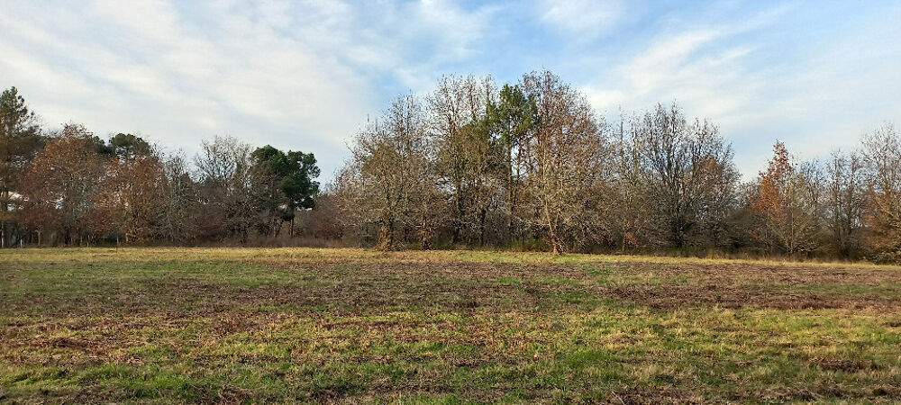 vente Terrain - 11830 m² Saint-Laurent-des-Hommes (24400)