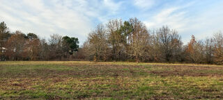 Terrain à vendre 11830 m²