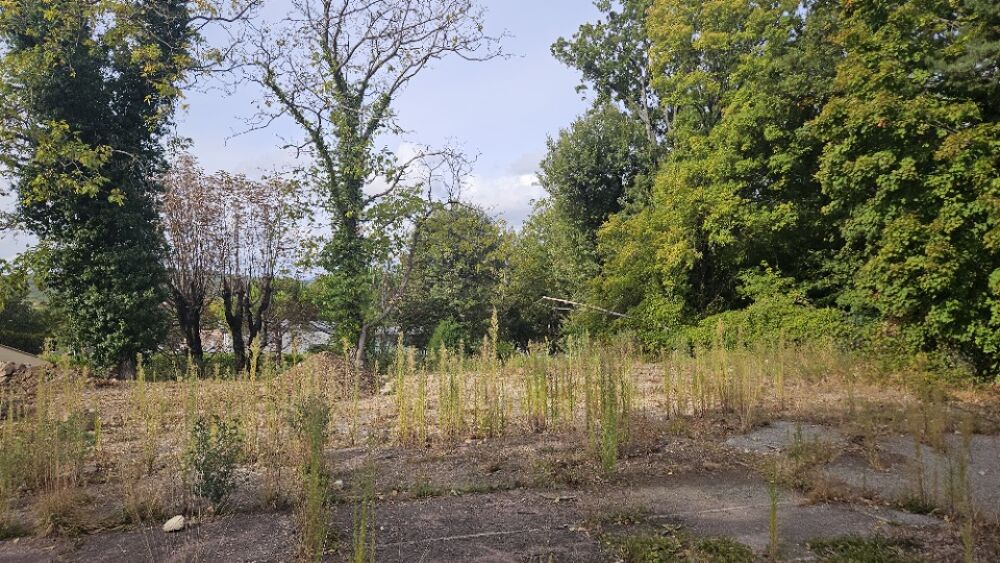 vente Terrain - 884 m� Saint-Vallier-de-Thiey (06460)