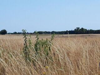  Terrain � vendre 1300 m�