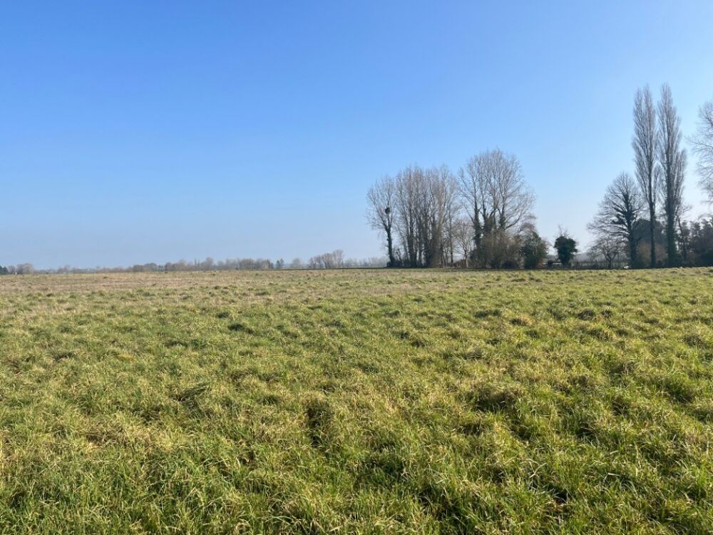 vente Terrain - 454 m² Rue (80120)