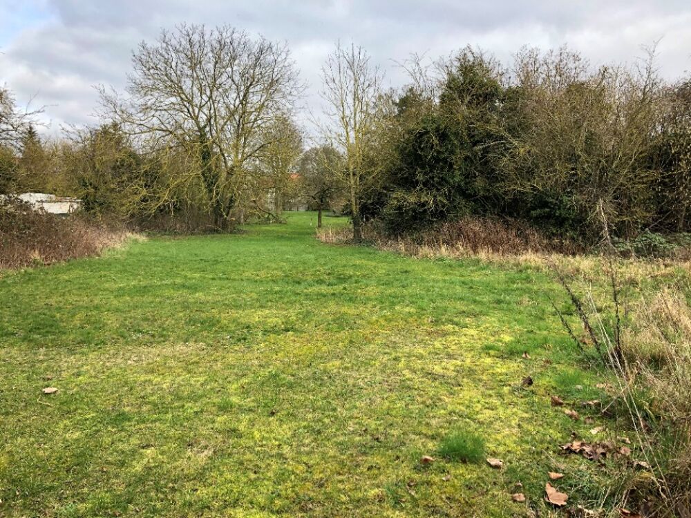 vente Terrain - 3000 m² Rivière (62173)