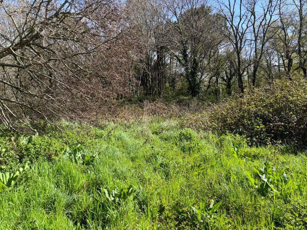 vente Terrain - 625 m² Andernos-les-Bains (33510)