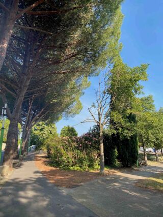  Terrain  vendre 226 m