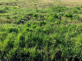  Terrain � vendre 400 m�