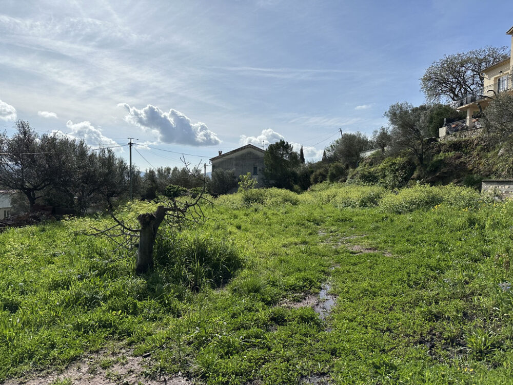 vente Maison - 3 pièce(s) - 60 m² Solliès-Ville (83210)