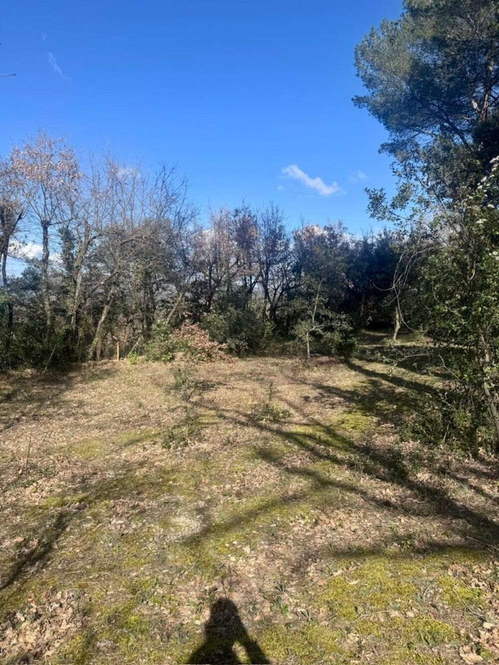 VENTE : maison de 4 pièces (88 m²) à La Roque-d'Anthéron....