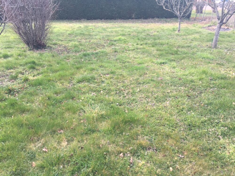 vente Terrain - 725 m² Treffort-Cuisiat (01370)