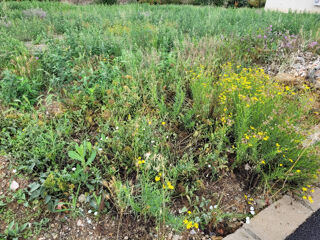  Terrain � vendre 240 m�