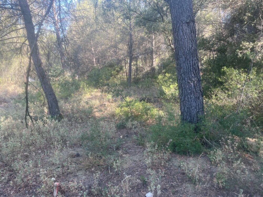 vente Terrain - 510 m² Lambesc (13410)