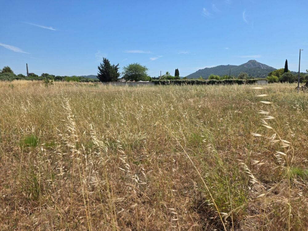 vente Terrain - 700 m² La Crau (83260)