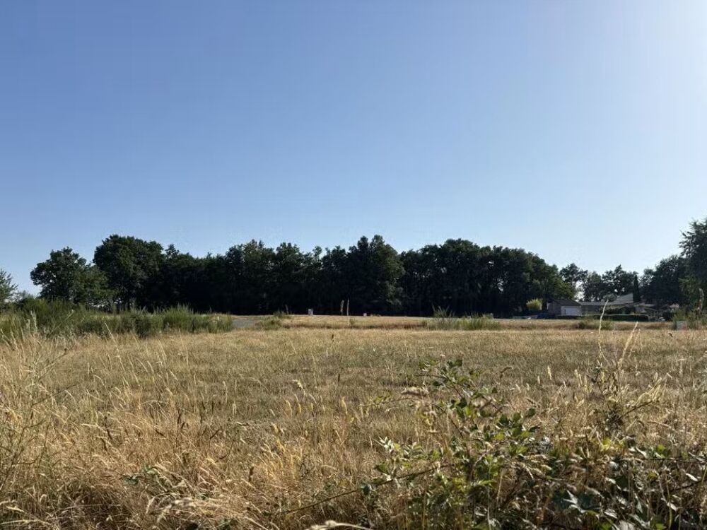 vente Maison - 5 pièce(s) - 115 m² Belleville-sur-Vie (85170)
