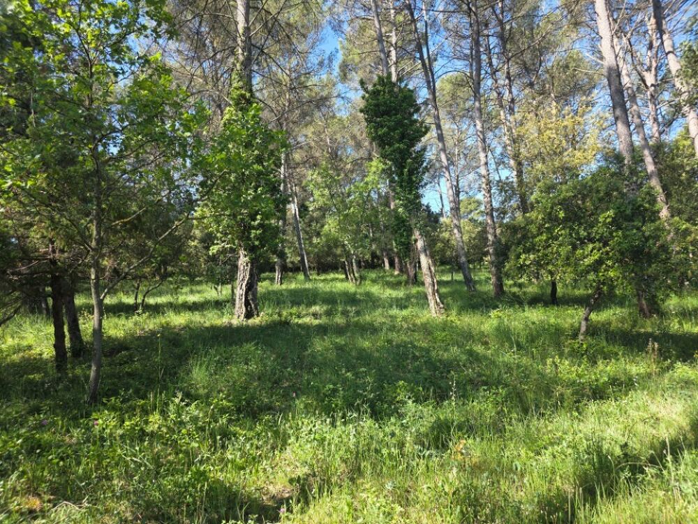 vente Terrain - 184 m² Solliès-Pont (83210)