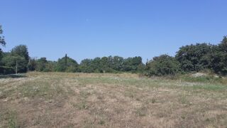  Terrain  vendre 1240 m