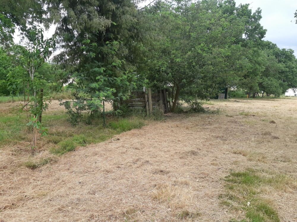 vente Terrain - 1000 m² Orgueil (82370)