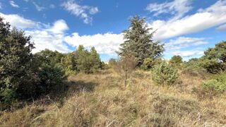  Terrain à vendre 1600 m²