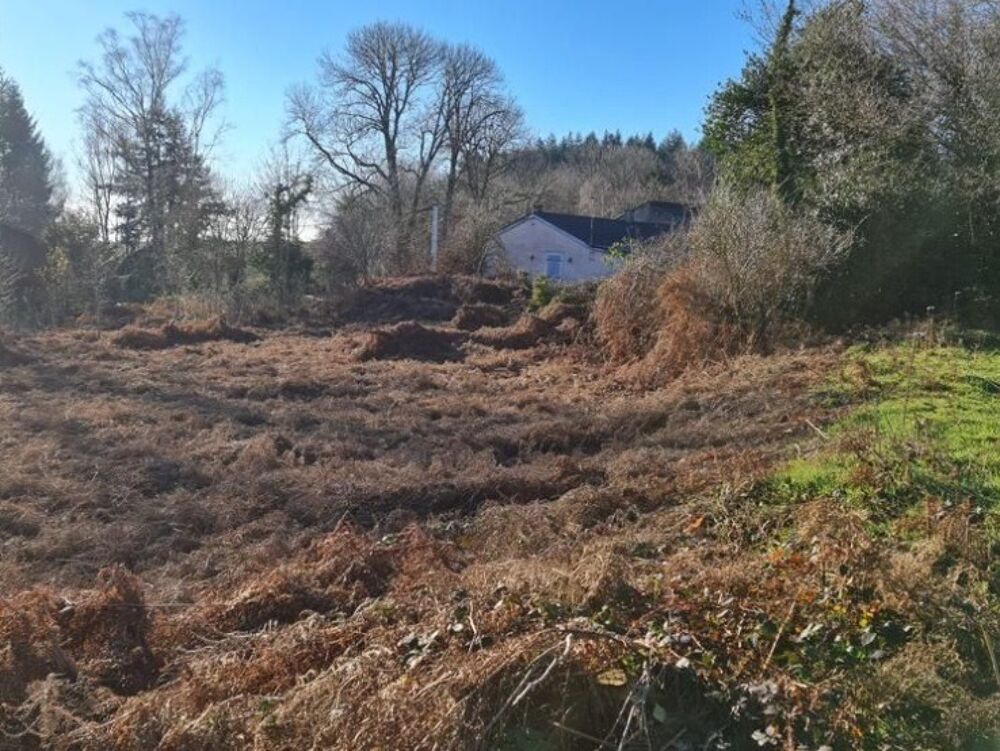 vente Terrain - 1700 m� Lacombe (11310)