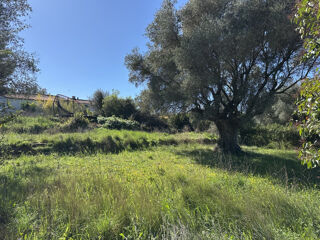  Terrain 615 m� Puget-ville