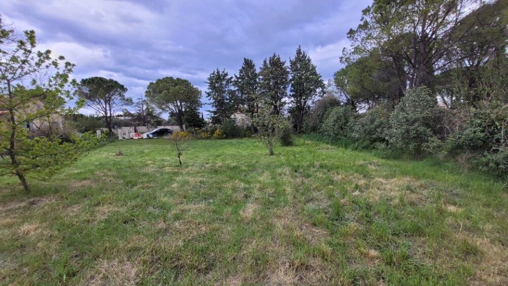 vente Terrain - 856 m² Sainte-Cécile-les-Vignes (84290)