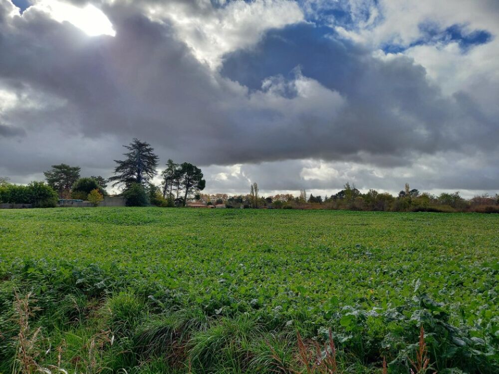 vente Maison - 5 pièce(s) - 122 m² Gaillac (81600)