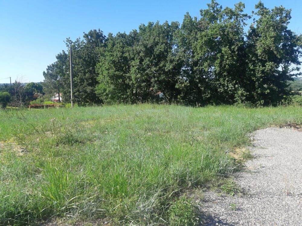 vente Terrain - 576 m² Saint-Sauveur (31790)