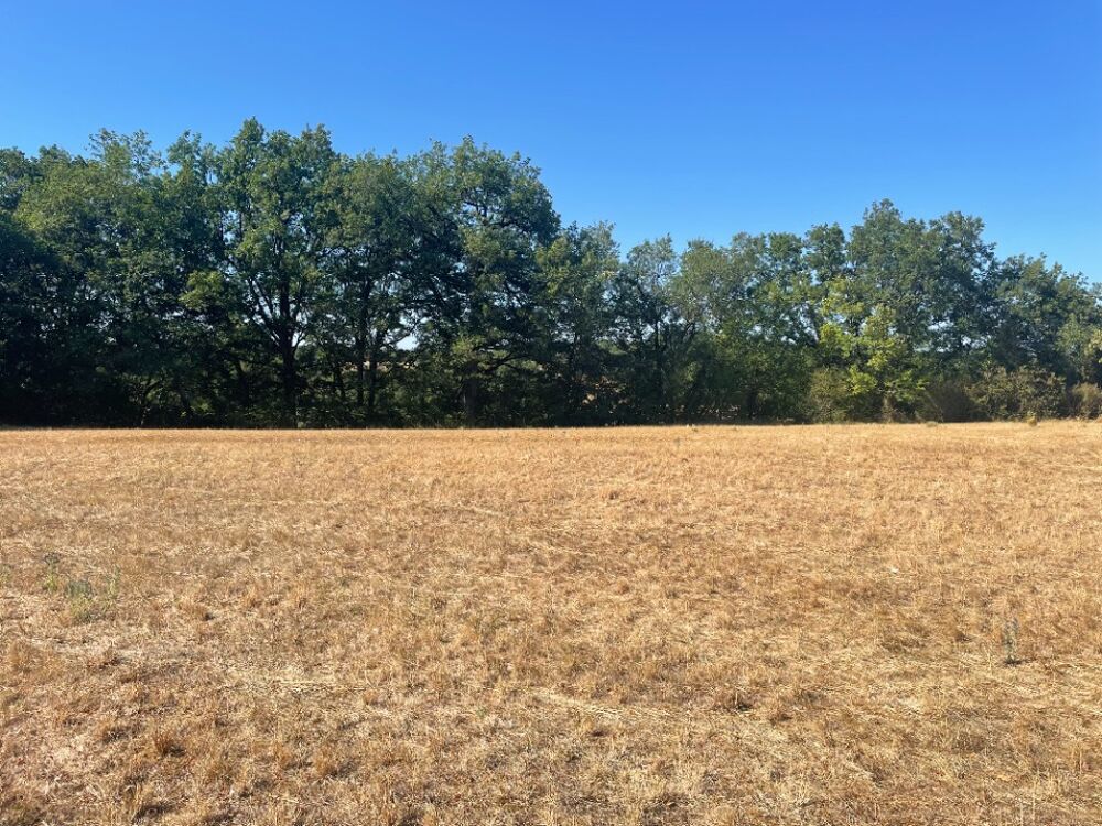 vente Terrain - 1700 m² Lalbenque (46230)